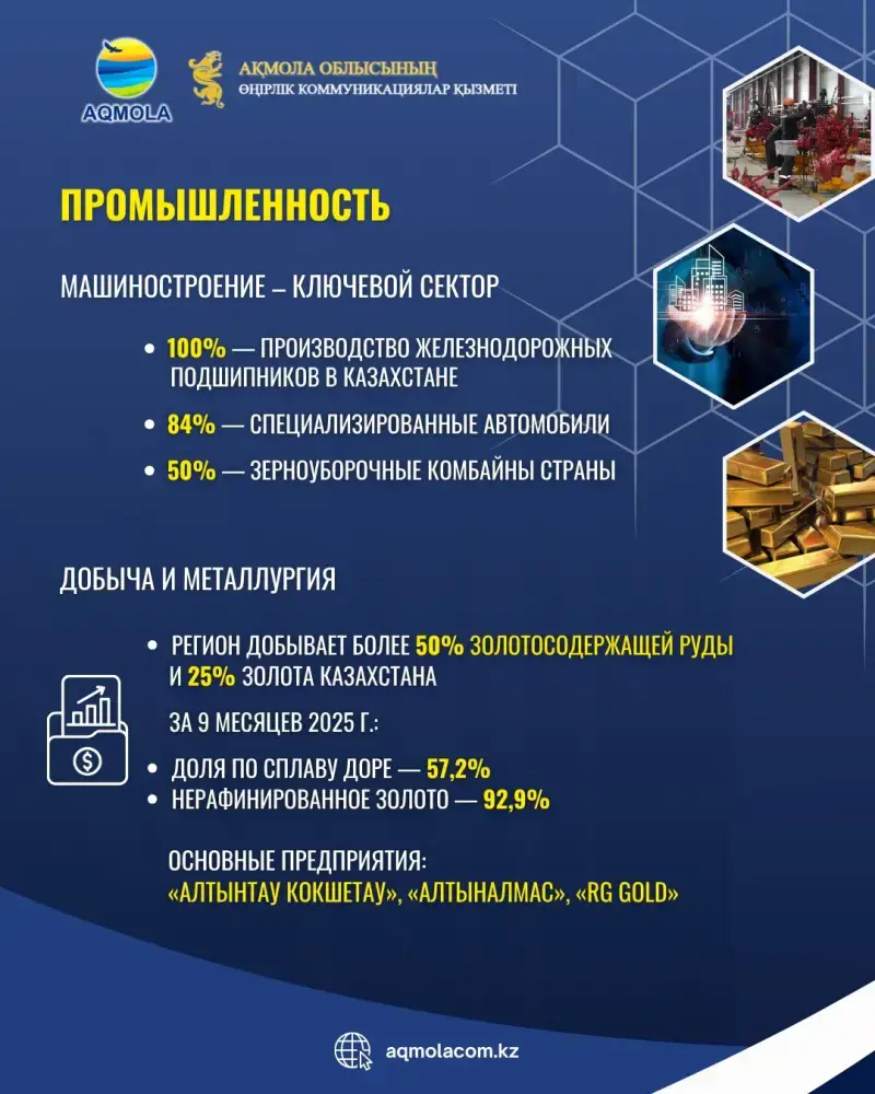 Рост производства зерновых в Акмолинской области способствует развитию экспорта и улучшению качества продукции Павлодаре