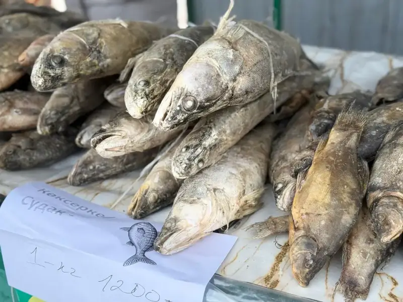 Домашние продукты, народная атмосфера и поддержка местных производителей: в Усть-Каменогорске проходит ярмарка «Туған жер – алтын бесігім» (4)