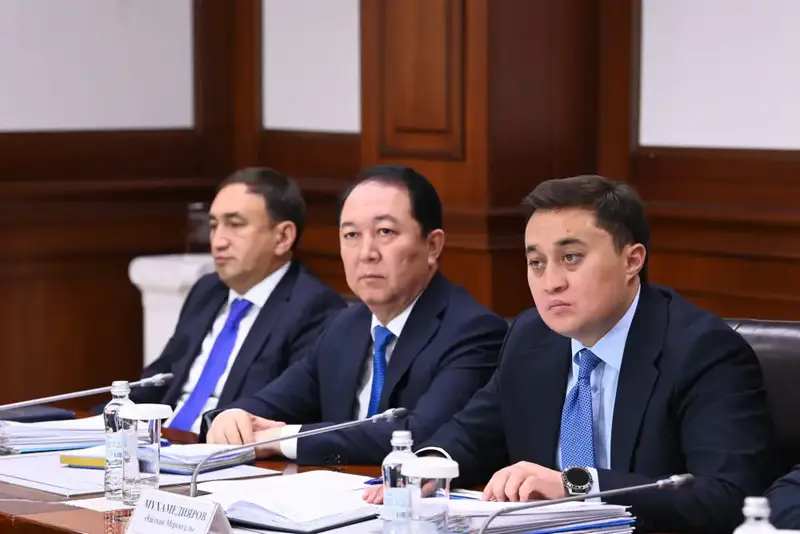 Даны поручения по вопросам обсужденным на заседании Правительства (2)