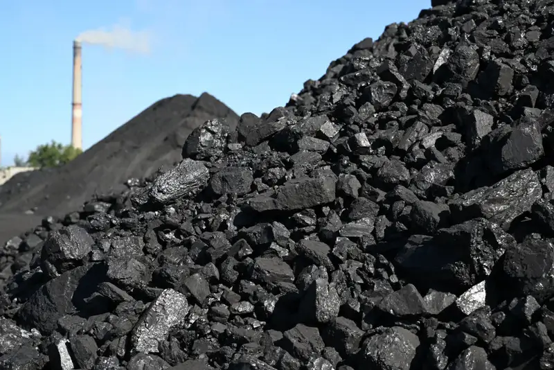 Недостаток угля в Жетісу: как 38 вагонов в сутки не справляются с зимними потребностями региона Павлодаре