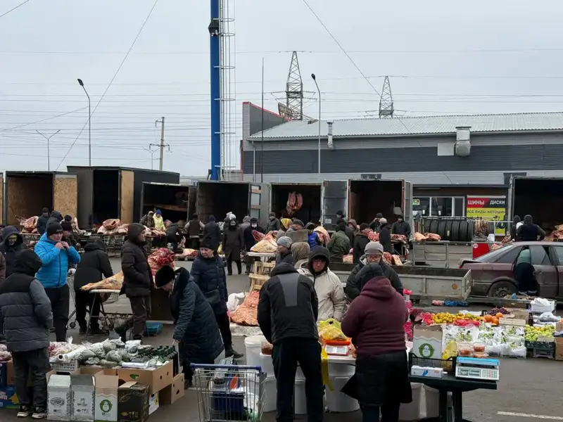 Казахстанцы с начала года приобрели 7,9 тысяч тонн продукции на сельскохозяйственных ярмарках (2)