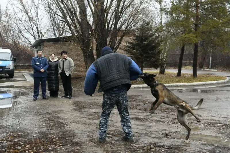 «Esirtkisiz Elorda»: в Астане студентов обучили тонкостям кинологической службы (6)