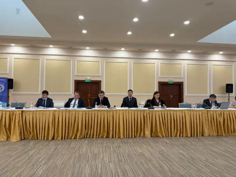 Айша Айткалиева на консультации ООН в Алматы Павлодаре