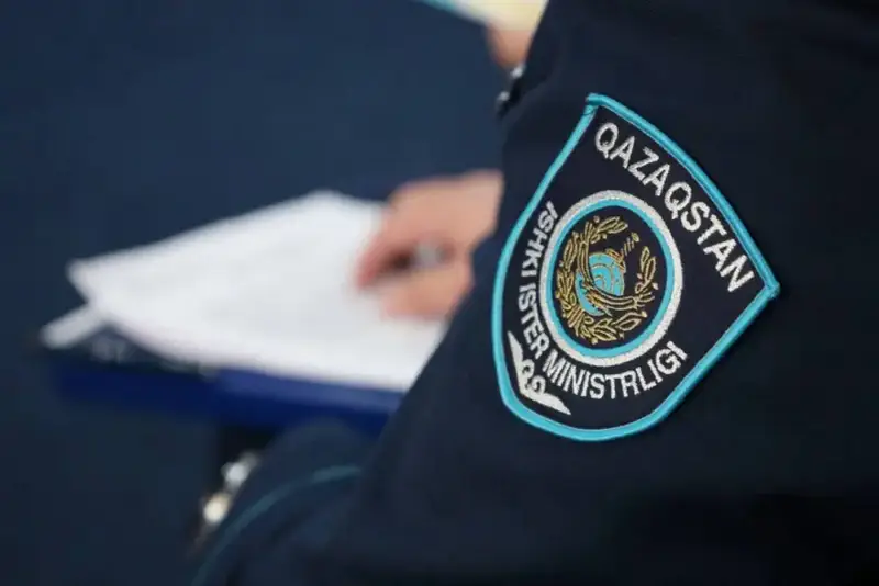 Полиция за три дня вернула более 800 голов скота, разоблачив 20 групп скотокрадов Павлодаре