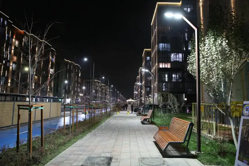 Дархан Сатыбалды оценил результаты освещения фасадов в новых микрорайонах (6)