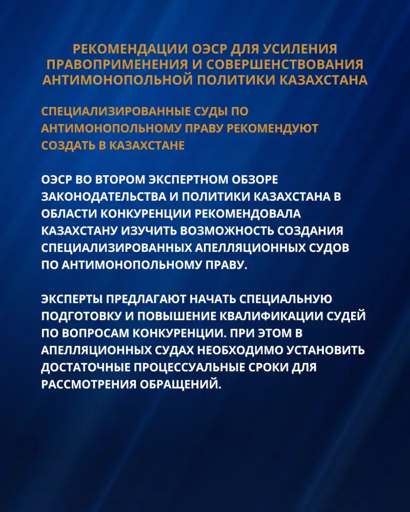 ОЭСР призывает Казахстан реформировать антимонопольное правоприменение и повысить штрафы за нарушения Павлодаре