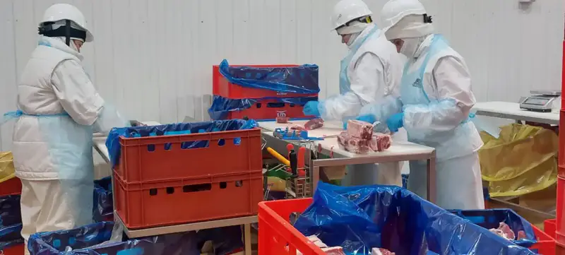 Еще 4 казахстанских предприятия включены в Реестр импортеров ОАЭ (5)