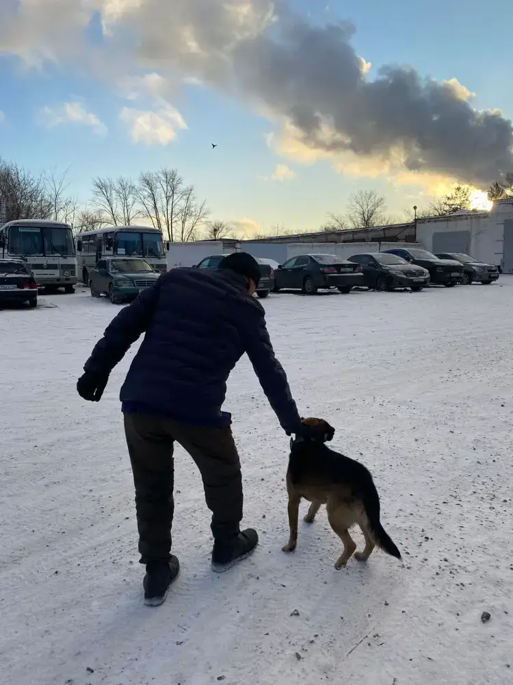 История о верности и надежде в Павлодаре Иван и его пес Тайсон Павлодаре