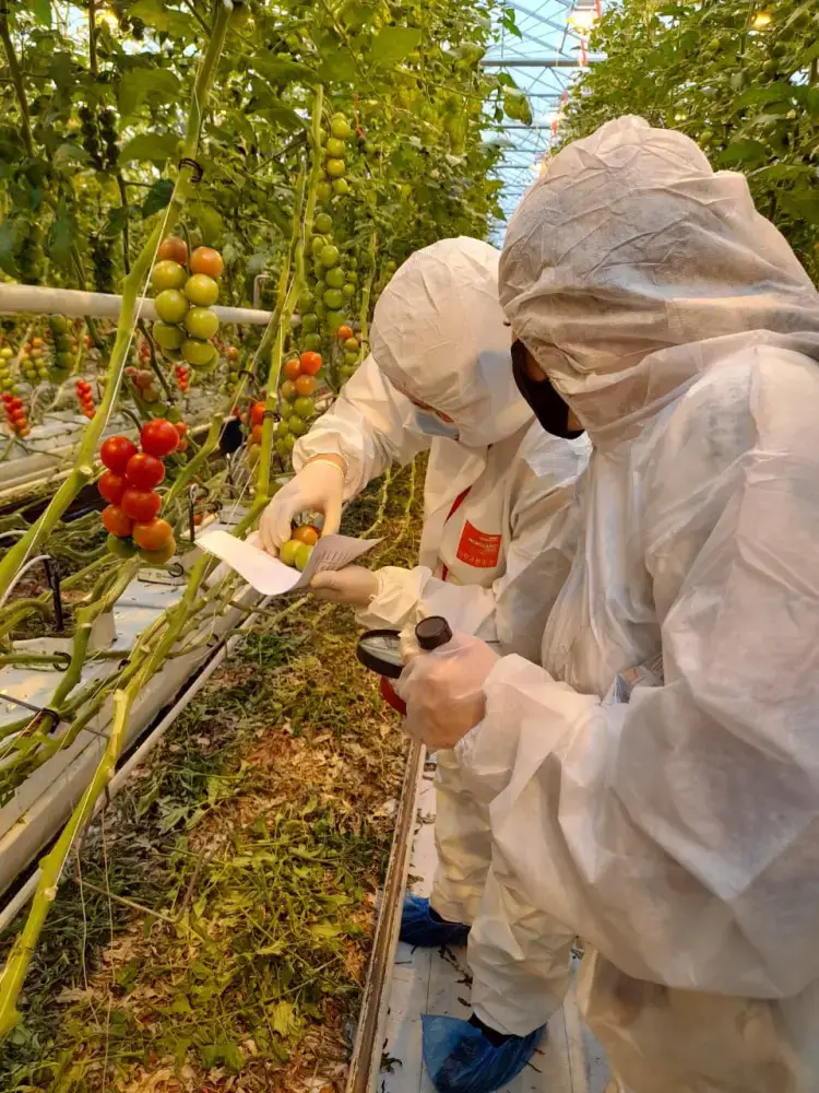 Платная фитосанитарная экспертиза как способ повышения качества и продовольственной безопасности Казахстана Павлодаре