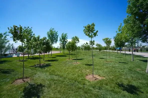 Субботники в Туркестане 40256 участников 186 тонн мусора Павлодаре