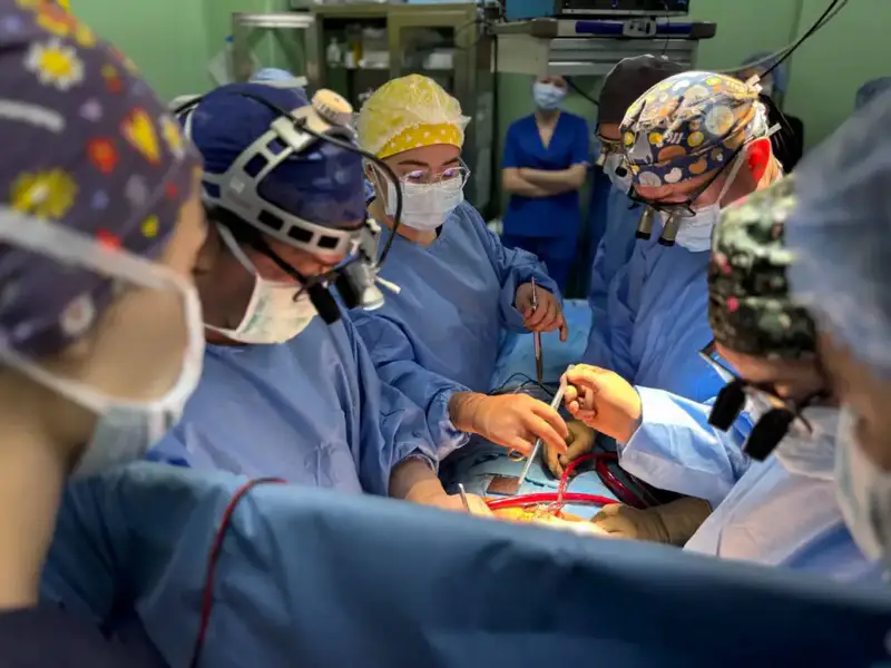 В Алматы успешно проведена первая трансплантация сердца Павлодаре