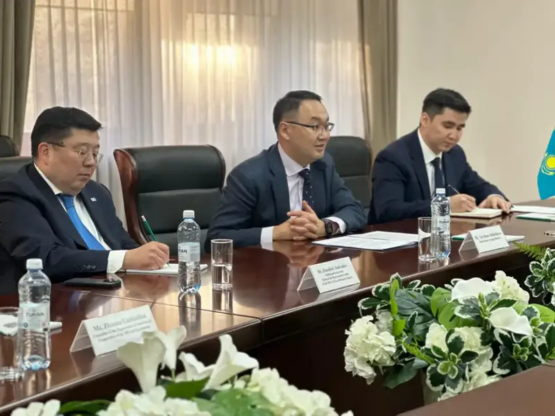 Сотрудничество между американским бизнесом и Казахстаном: перспективы и возможные последствия Павлодаре