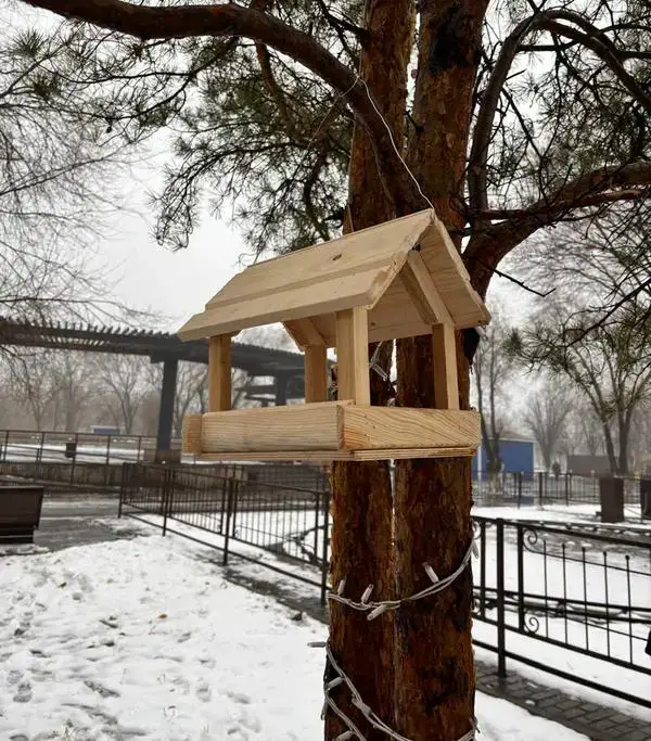 «Таза Қазақстан»: в парке Майкудука установили кормушки для птиц (3)