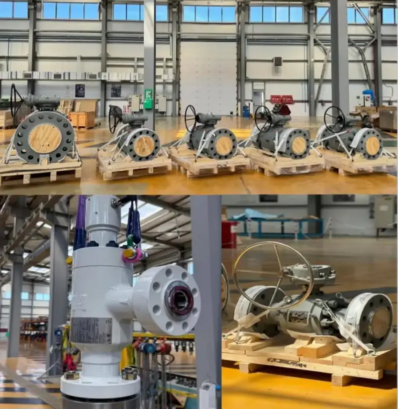 Упрощение выхода казахстанских производителей на международный рынок способствует повышению конкурентоспособности и снижению зависимости от импорта Павлодаре