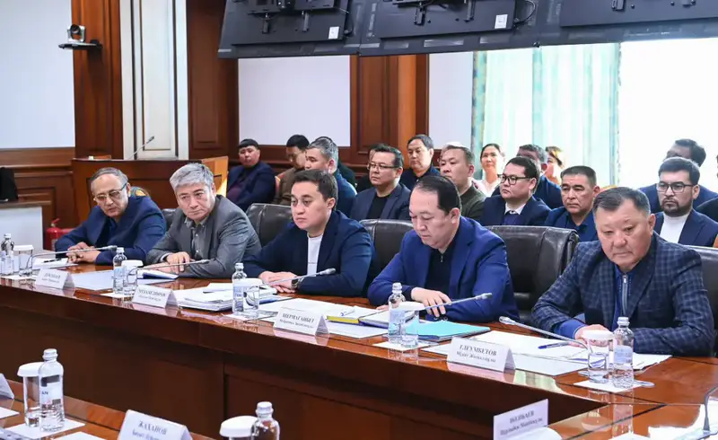 Жесткий контроль за ценами и газом: последствия для местных руководителей Павлодаре