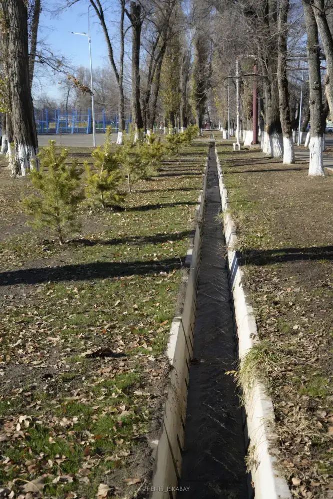 «Таза Қазақстан»: построен новый парк в селе Карабулак области Жетісу (9)