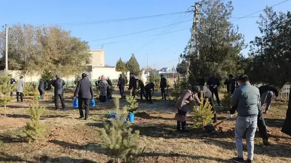 Глобальная инициатива по озеленению: более 3 700 деревьев высажены в Арысе, Казахстан Павлодаре