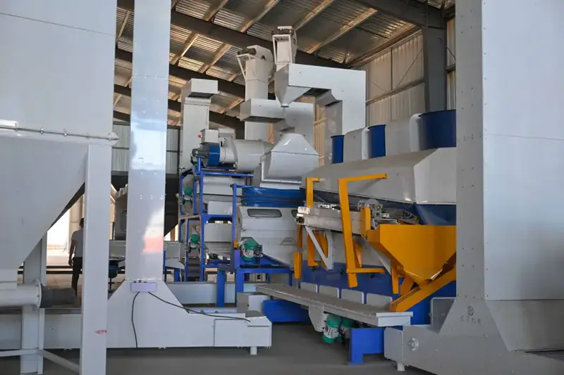 В Абайской области продолжается строительство завода по производству комбикормов за 7 млрд тенге Павлодаре