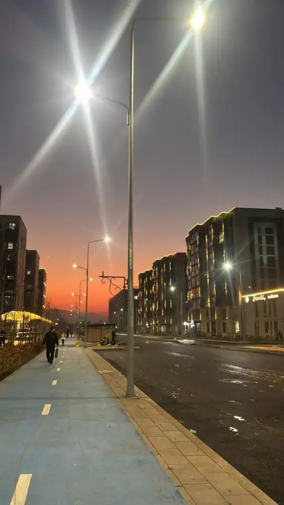 Комфортная среда для жителей: Наурызбайский район реализует крупные проекты благоустройства (3)