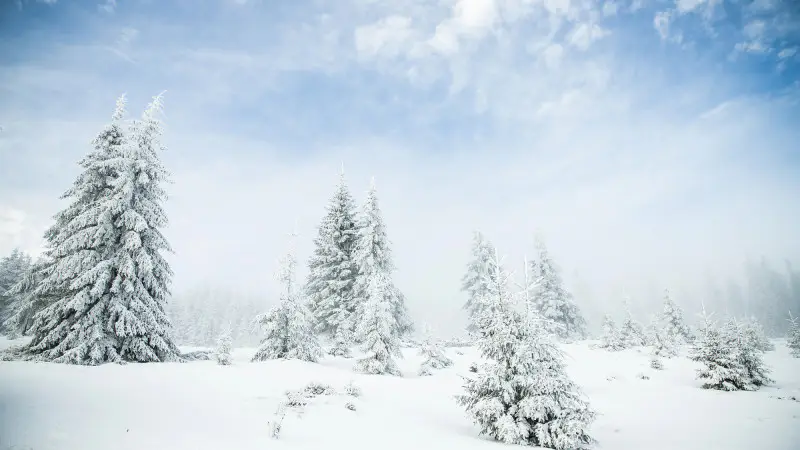 Циклон обрушивается на Казахстан: снег и холод на севере, тепло на юге - прогноз погоды на 8-10 ноября от Казгидромета Павлодаре