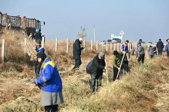 В Жетысайском районе прошел массовый субботник, собравший около 2000 участников для высадки 7000 саженцев в рамках программы "Таза Қазақстан". Павлодаре