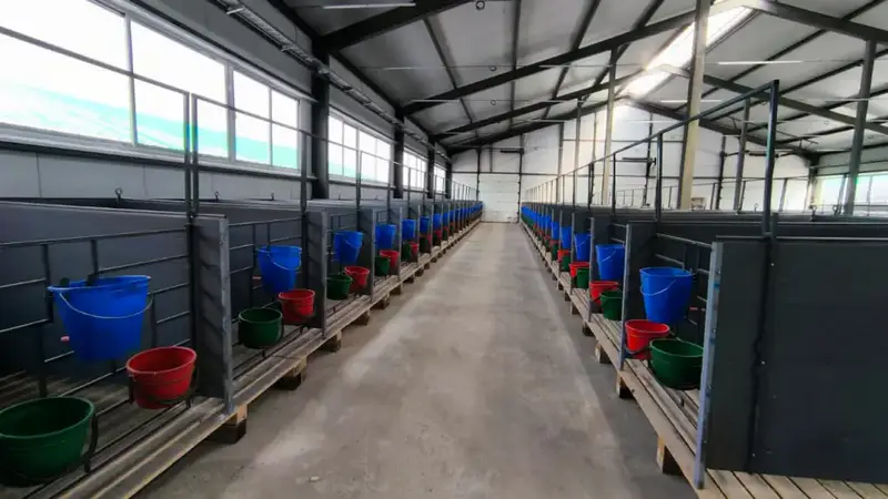 Новая ферма открыта в Костанайской области Павлодаре