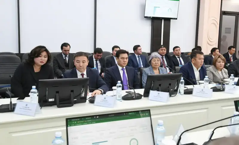 С. Жакупова провела встречи с активом и населением Алматинской области (2)