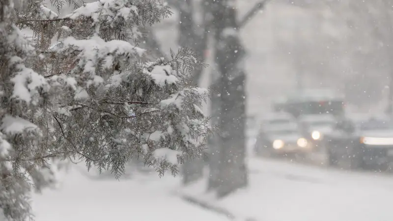 Снежные капризы ноября: Казахстан готовится к зимнему танцу дождя и метели в воскресенье, 9 ноября Павлодаре