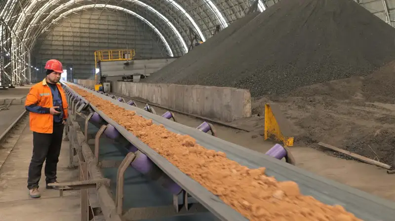 С начала образования области Жетісу в экономику Кербулакского района привлечено свыше 128 млрд. тенге инвестиций (6)