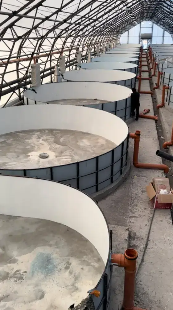 Строительство рыбоводческого комплекса в Восточно-Казахстанской области: новые возможности для местного производства и потребления Павлодаре