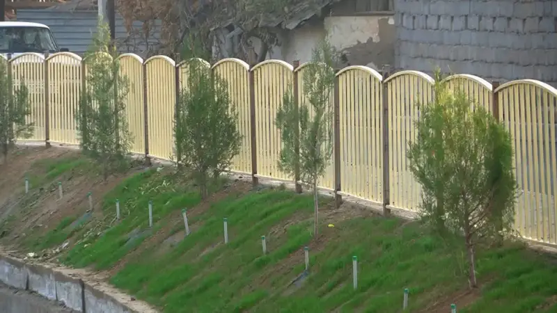 В Келесе прошла осенняя акция по посадке деревьев с участием местных жителей и волонтеров Павлодаре