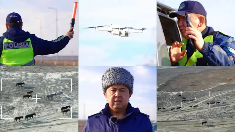 Использование дронов в Атырау: снижение числа аварий на дорогах благодаря контролю за выпасом скота Павлодаре