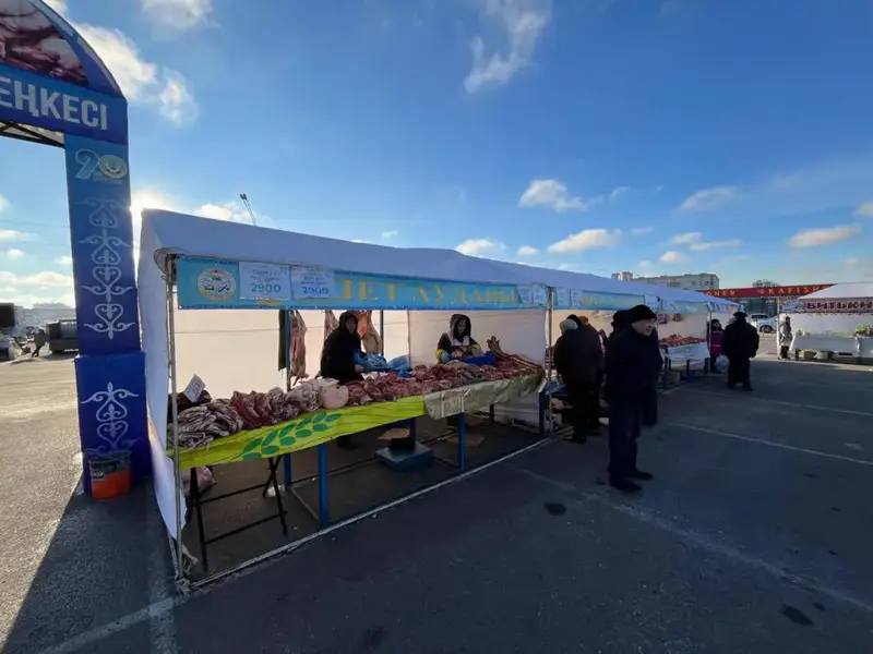 Фермеры Караганды представили более 156 тонн натуральных продуктов на ярмарке урожая Павлодаре