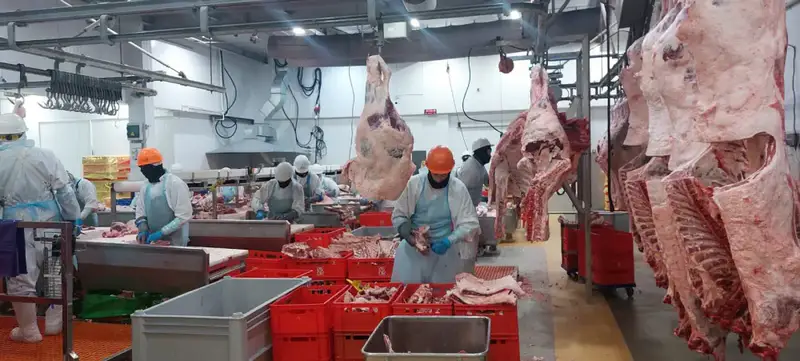 Расширение экспортных возможностей казахстанских производителей через включение в Реестр импортеров ОАЭ Павлодаре