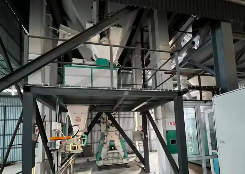 На Панфиловский район приходится 55% выращиваемой в Жетісу кукурузы (8)