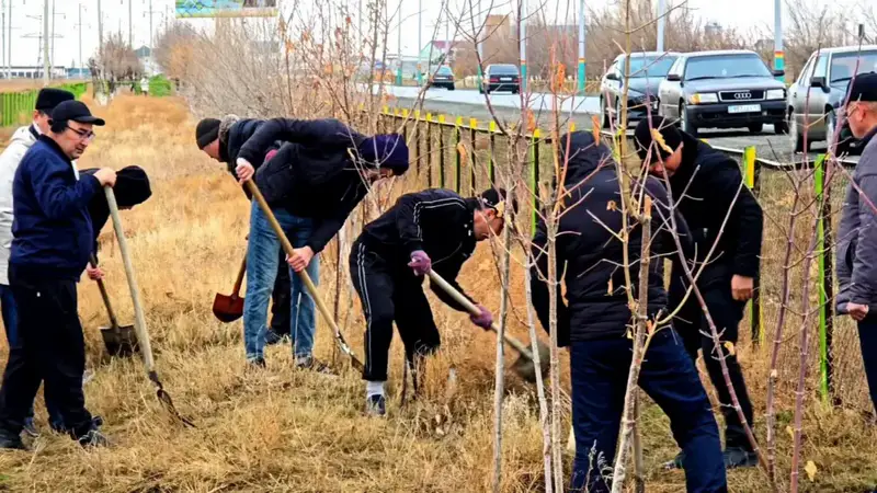 Весна пробуждает Кызылординскую область: 440 тысяч сердец объединяются для зелёного будущего Павлодаре