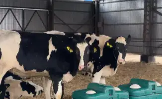 Государственная поддержка сельского хозяйства Актюбинской области 15 миллиардов тенге в 2025 году