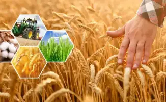 Сельское хозяйство Актюбинской области демонстрирует рост: 353 млрд тенге продукции и 7% увеличение поголовья скота