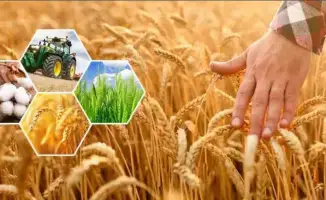 296,8 млрд тенге: Актюбинская область на сельхозвысоте!