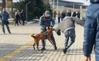 Студенты Жетысу узнали о вреде наркотиков и увидели навыки полицейской собаки
