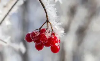 Казахстан замерзает: 20 градусов мороза на подходе!