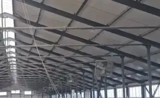 Первая партия племенных телок из Дании для молочного животноводства в Павлодарской области