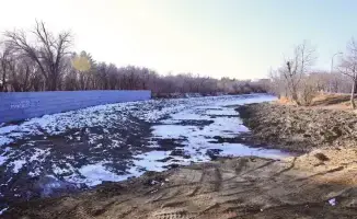 Инвентаризация деревьев и благоустройство Центрального парка Караганды