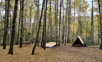 Алматы: более миллиона туристов за полгода и признание CNN