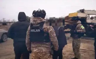 Лесные призраки: МВД разоблачает тайную схему вырубки деревьев в Костанайской области