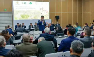 Обсуждение устойчивого использования сайгака в Самарканде: последствия для экосистемы и международного сотрудничества