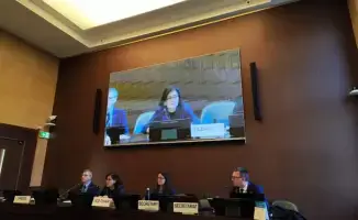 Казахстан назначен заместителем Председателя Целевой группы по экологической статистике ЕЭК ООН на два года.