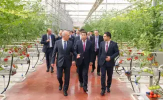 Тепличный комплекс «Alsera KZ» в Шымкенте создает рабочие места и улучшает продовольственную безопасность региона