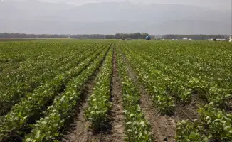 Обсуждение финансирования и субсидирования сельского хозяйства в Алматинской области: вызовы и перспективы для фермеров