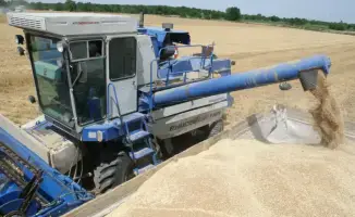 Сельское хозяйство Казахстана: рекорды и рост!